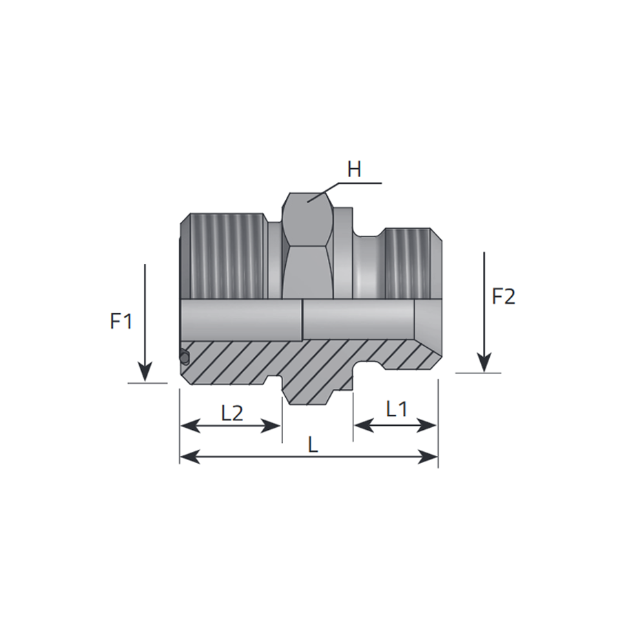 ADAPTOR MALE ORFS - MALE BSPP WITH 60° CONE -  Vitillo