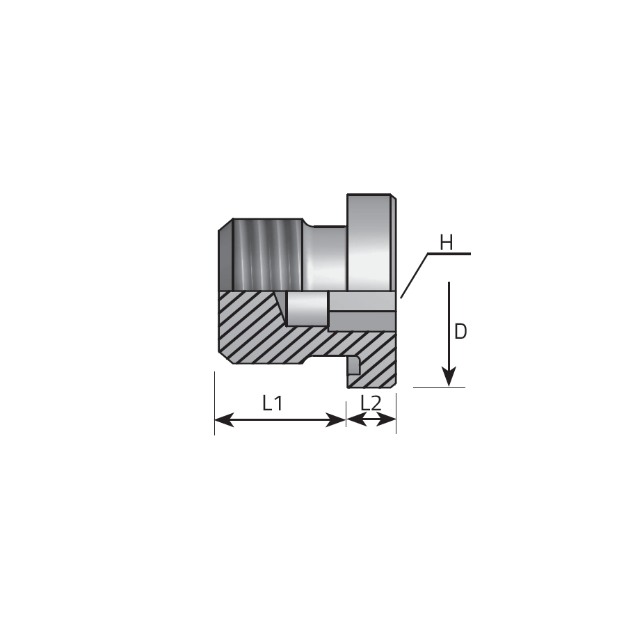 DIN INNER HEXAGON PLUG BSPP FORM E DIN 3852