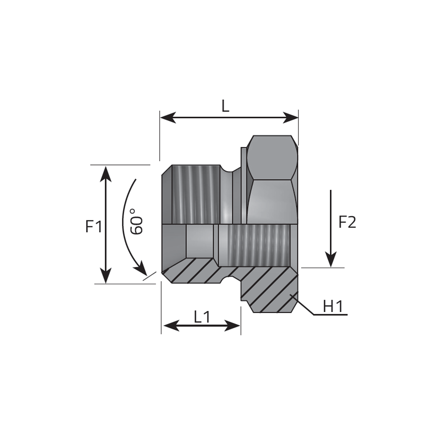 REDUCING PLUG MALE BSPP - FEMALE BSPP -  Vitillo