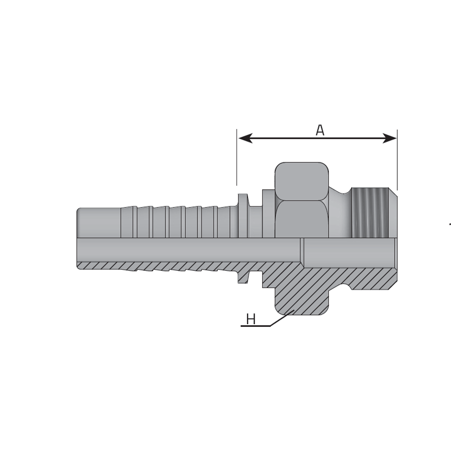 MASCHIO BSPP SEDE PIANA